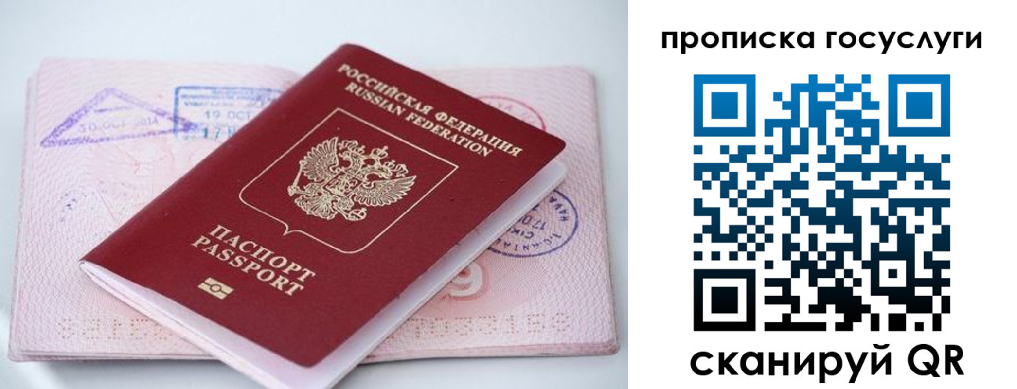 прописка законно в Ардоне